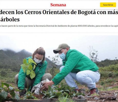 Reverdecen los Cerros Orientales de Bogotá con más de 1.000 árboles