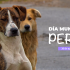 Día Mundial del Perro 2023 en San Cristóbal, con jornada veterinaria para callejeros