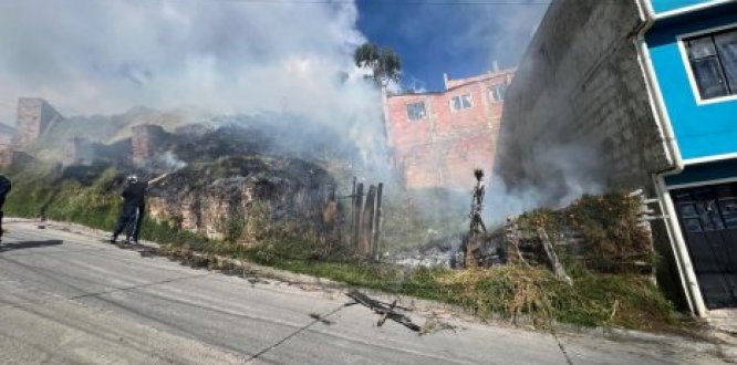 predio afectado por llamas sofocadas gracias a la acción de los bomberos predio afectado por llamas sofocadas gracias a la acción de los bomberos