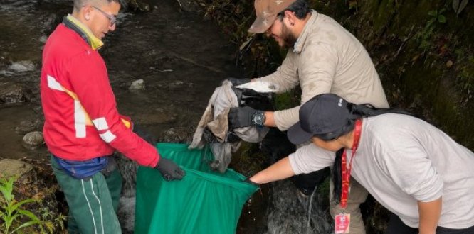 SAN CRISTOBAL Recuperamos la quebrada La Pichosa, protegiendo el agua, la vida y nuestros ecosistemas en San Cristóbal.