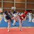 jovenes entrenando disciplina taekwondo