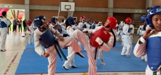jovenes entrenando disciplina taekwondo